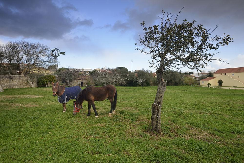 Quinta Do Scoto Bed & Breakfast Sintra Exterior photo