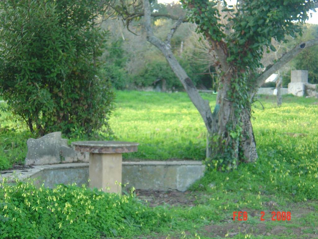 Quinta Do Scoto Bed & Breakfast Sintra Exterior photo